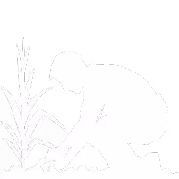 prace ogrodowe wykonywane przez mężczyznę